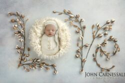 Newborn baby posed on a soft white setup with decorative branche